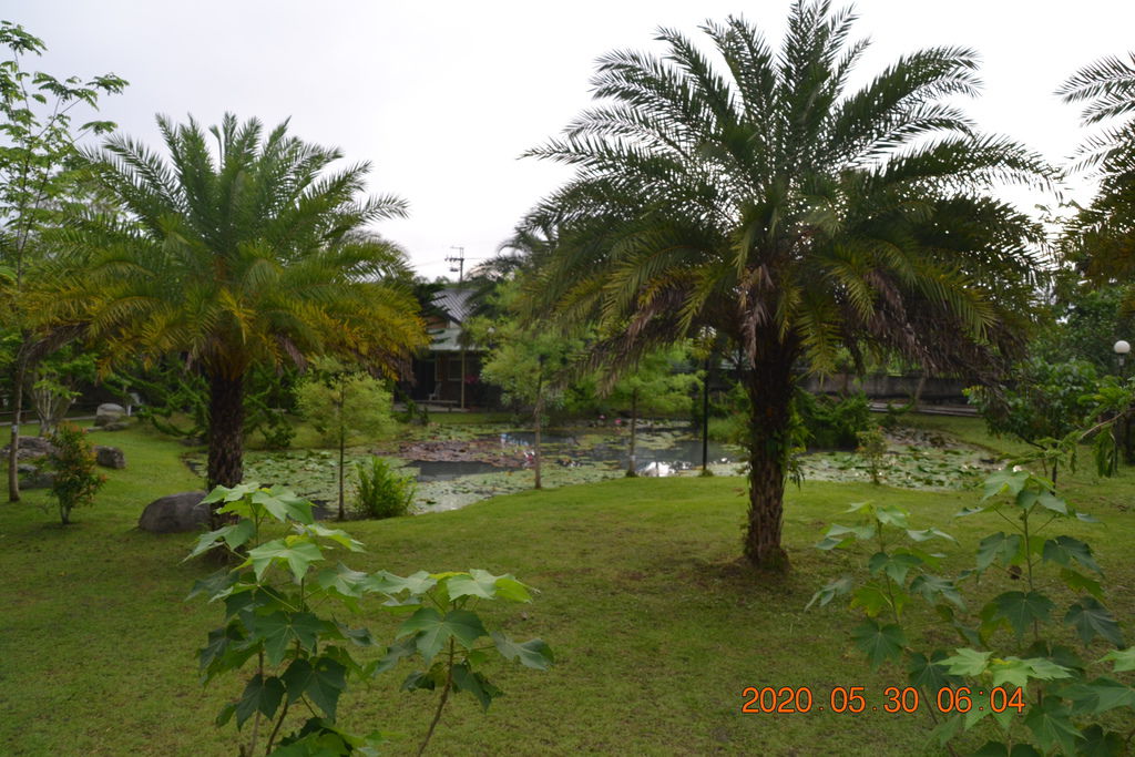 DSC_0444.JPG DSC_0444.JPG