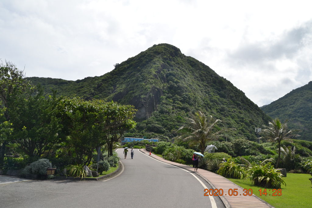 DSC_0504.JPG DSC_0504.JPG