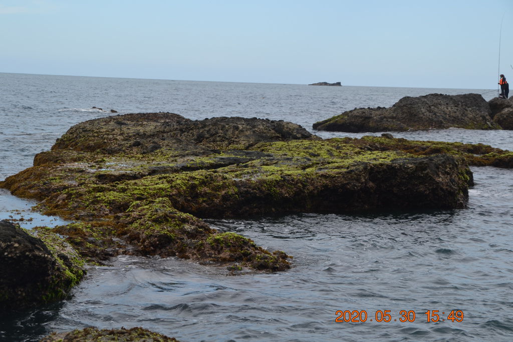 DSC_0580.JPG DSC_0580.JPG