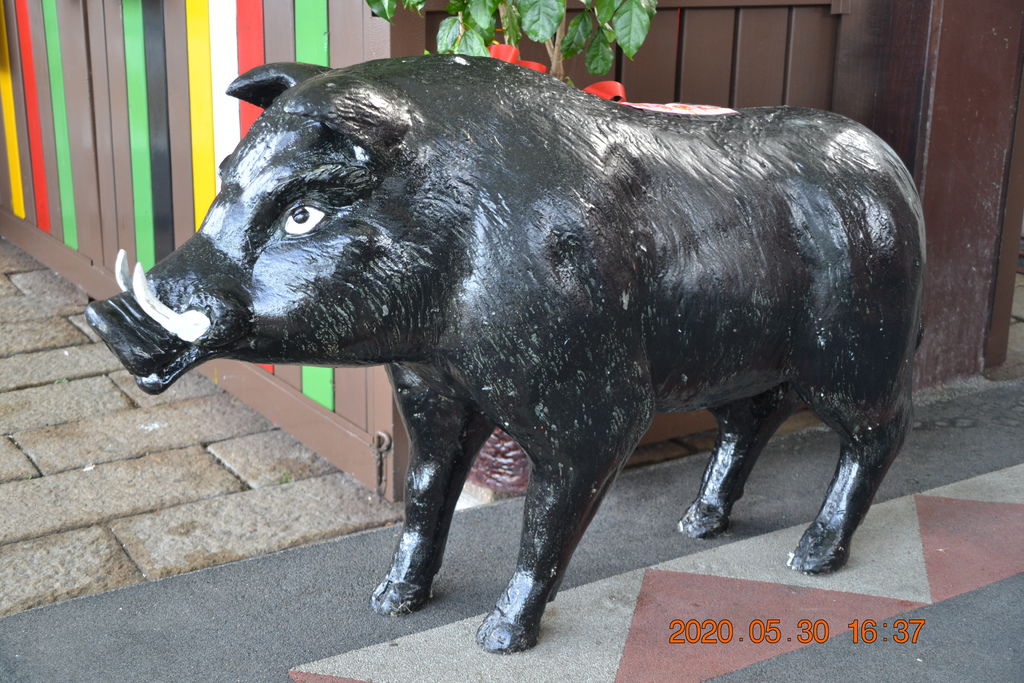 DSC_0639.JPG DSC_0639.JPG