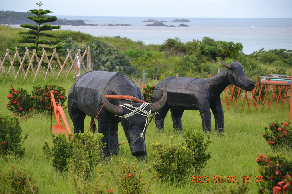 DSC_0643.JPG DSC_0643.JPG