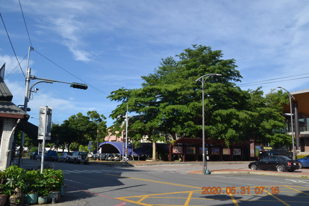 DSC_0696.JPG DSC_0696.JPG