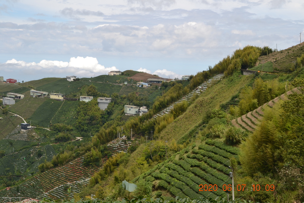 DSC_0873.JPG DSC_0873.JPG
