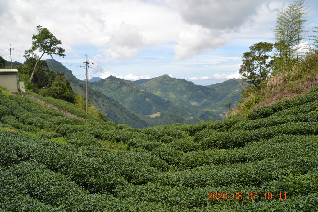 DSC_0881.JPG DSC_0881.JPG
