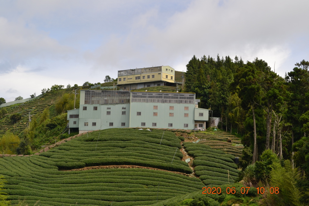 DSC_0872.JPG DSC_0872.JPG