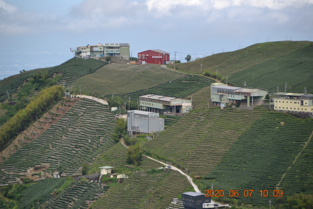 DSC_0875.JPG DSC_0875.JPG