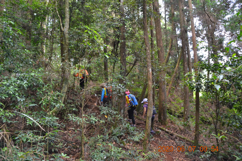 DSC_0862.JPG DSC_0862.JPG