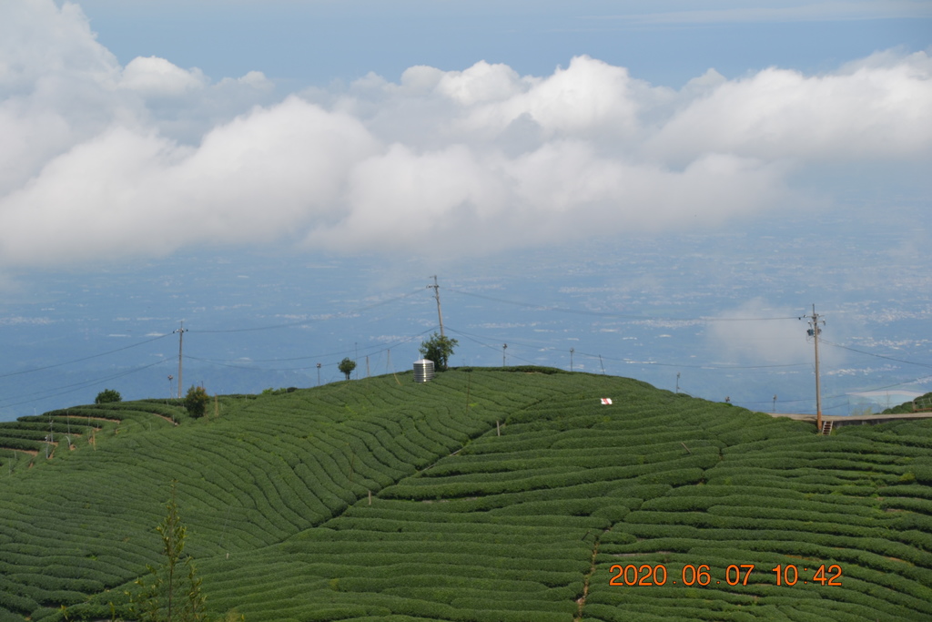 DSC_0903.JPG DSC_0903.JPG