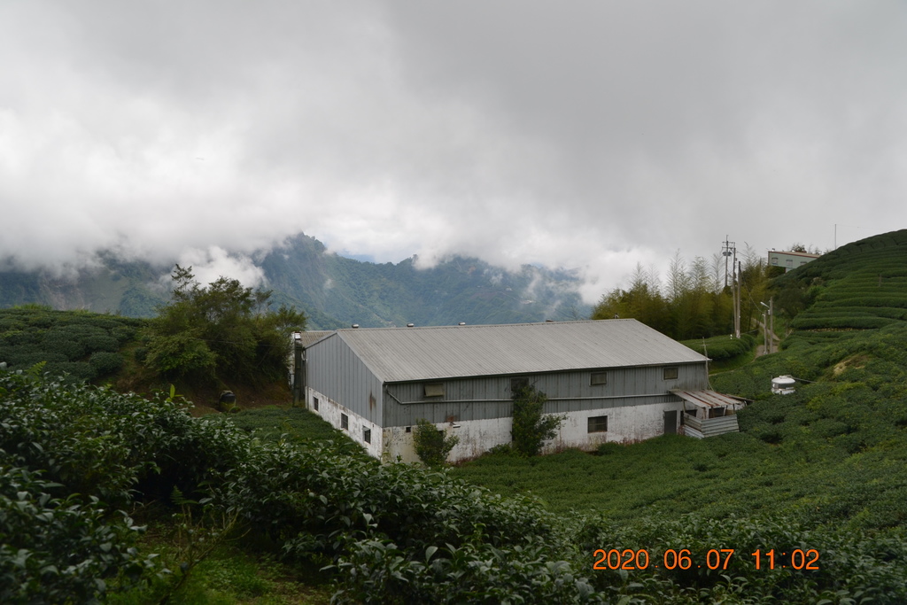 DSC_0919.JPG DSC_0919.JPG