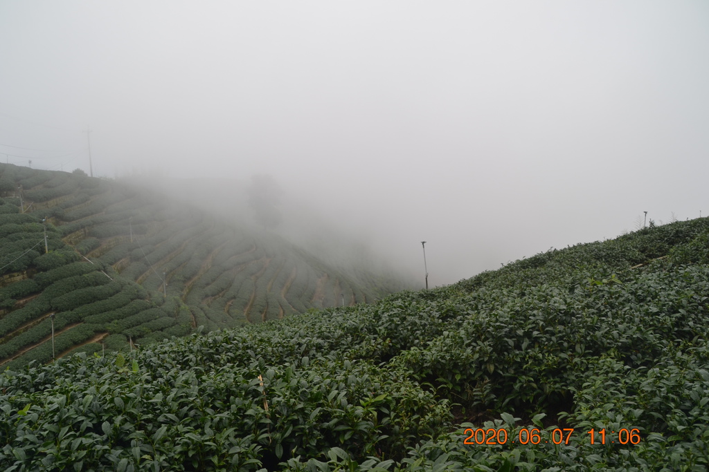 DSC_0921.JPG DSC_0921.JPG