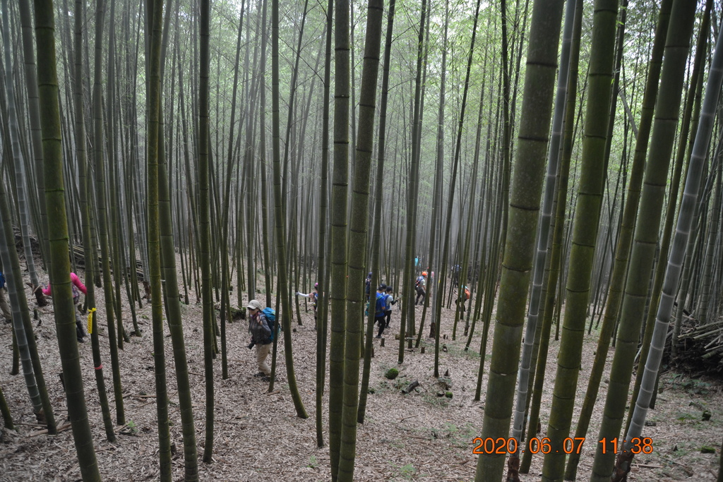 DSC_0934.JPG DSC_0934.JPG