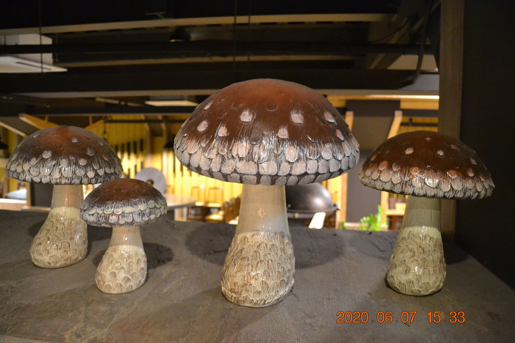 DSC_0957.JPG DSC_0957.JPG