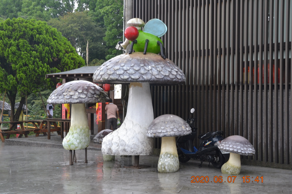 DSC_0960.JPG DSC_0960.JPG