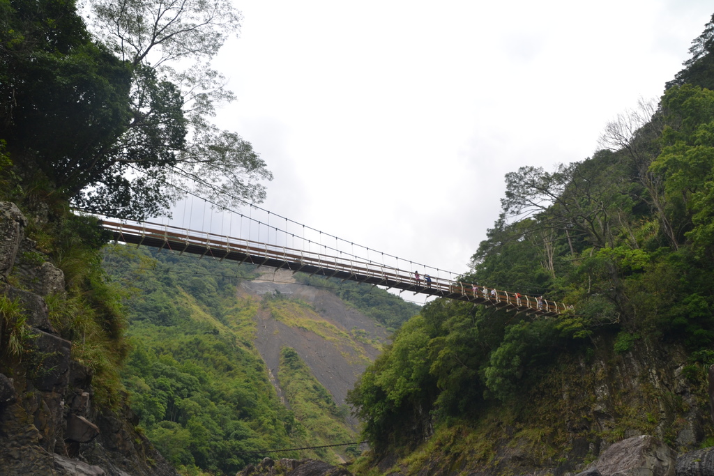 DSC_0145.JPG DSC_0145.JPG