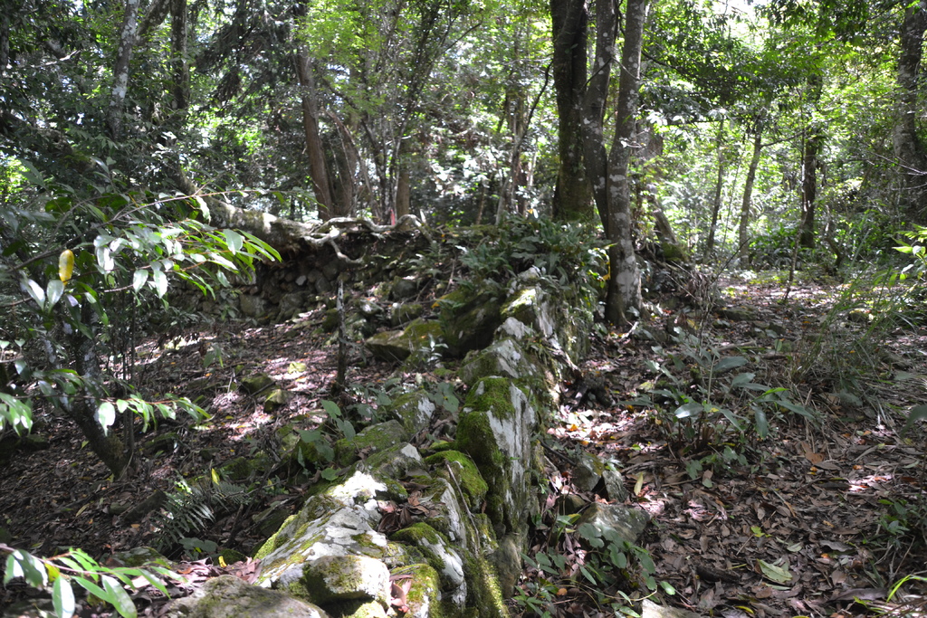 DSC_0068.JPG DSC_0068.JPG