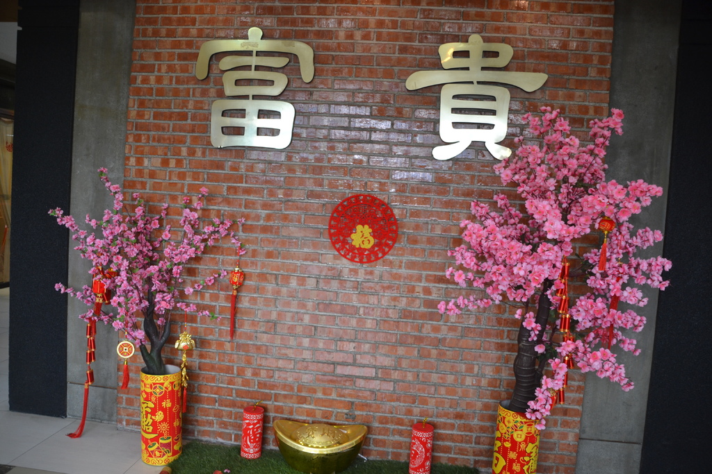 DSC_0150.JPG DSC_0150.JPG