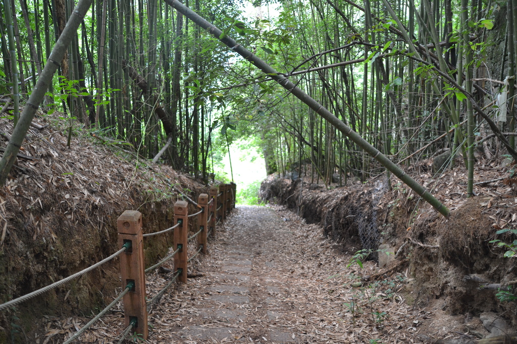 DSC_0140.JPG DSC_0140.JPG