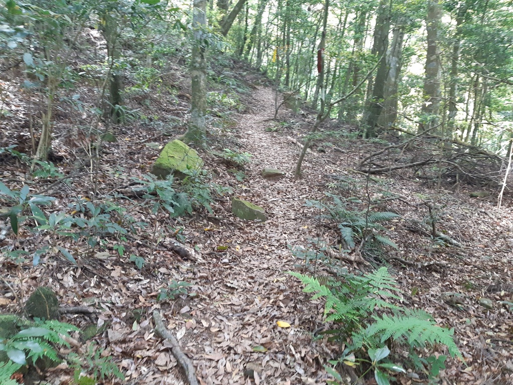 446016.jpg 446016.jpg