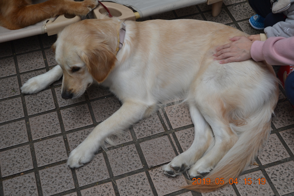 DSC_0102.JPG DSC_0102.JPG