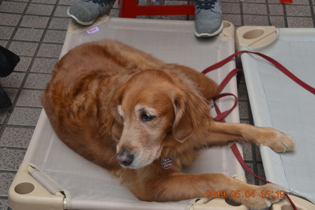 DSC_0103.JPG DSC_0103.JPG