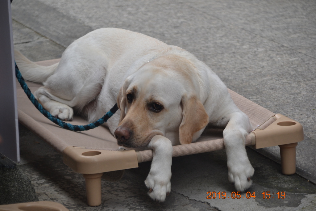 DSC_0104.JPG DSC_0104.JPG