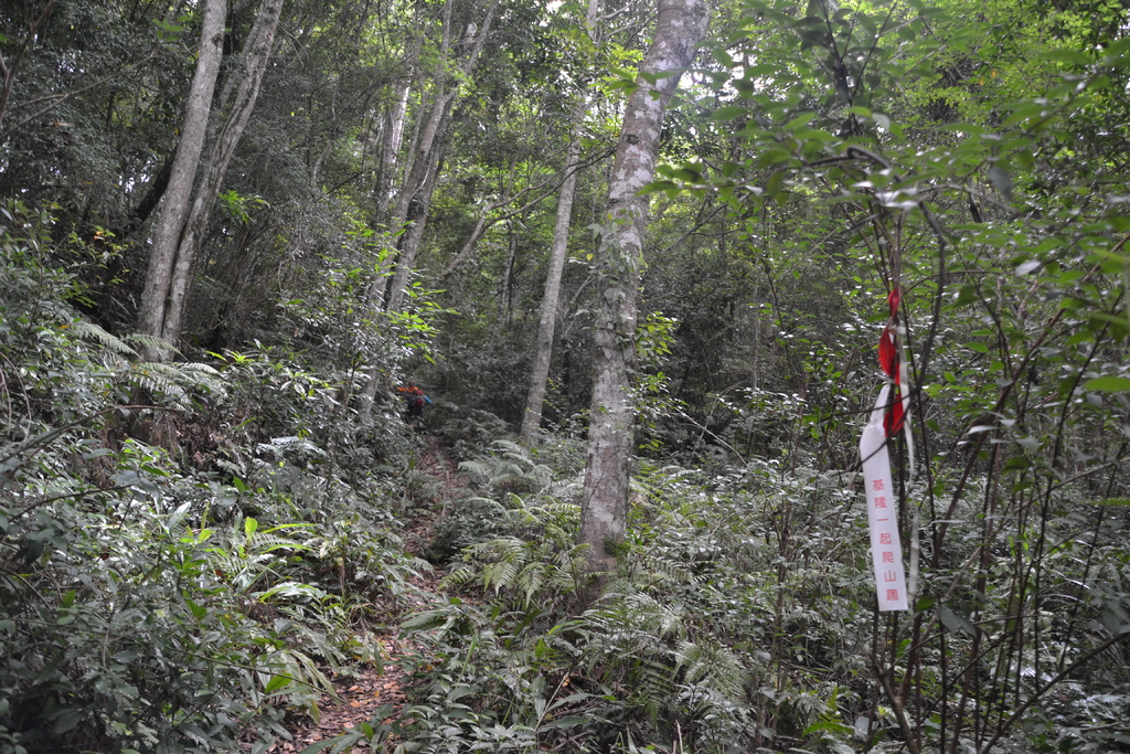 DSC_0049.JPG DSC_0049.JPG
