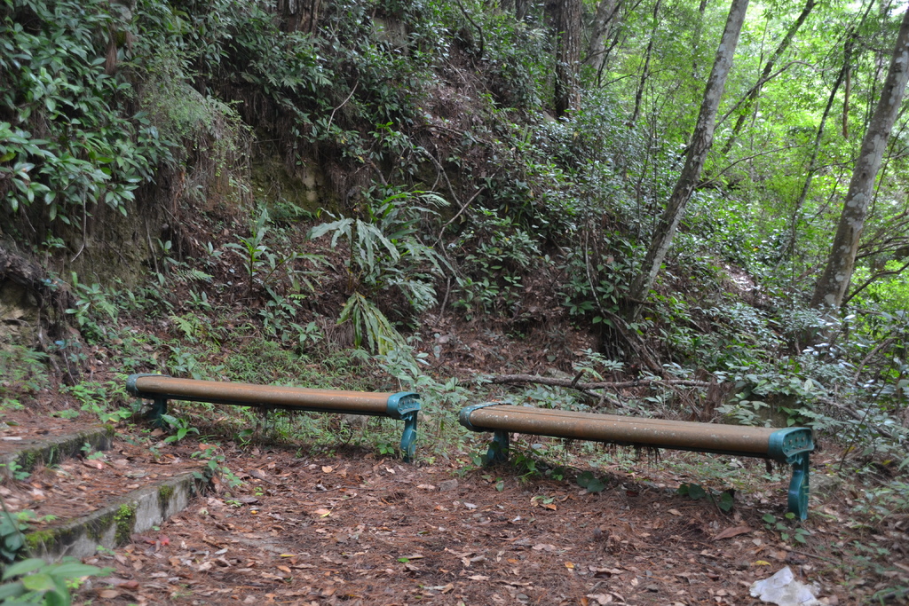 DSC_0046.JPG DSC_0046.JPG