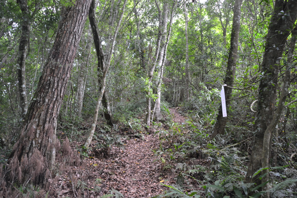 DSC_0051.JPG DSC_0051.JPG