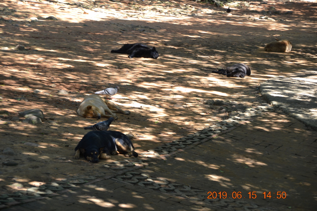 DSC_0112.JPG DSC_0112.JPG