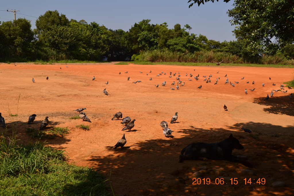 DSC_0111.JPG DSC_0111.JPG