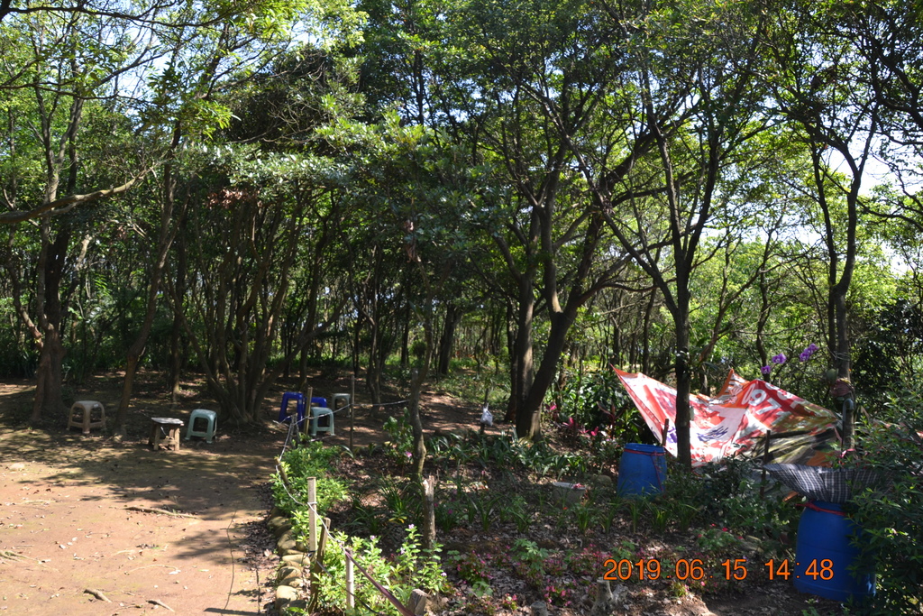 DSC_0109.JPG DSC_0109.JPG
