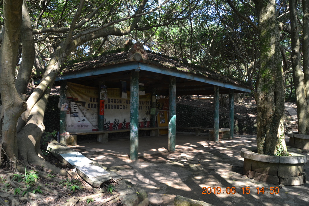 DSC_0113.JPG DSC_0113.JPG