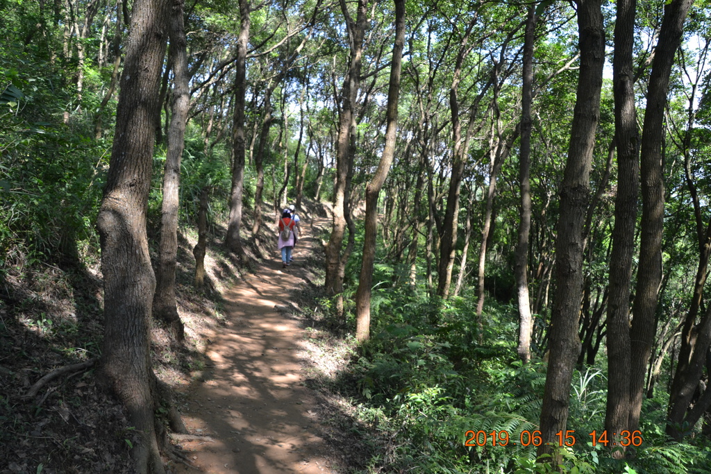 DSC_0108.JPG DSC_0108.JPG