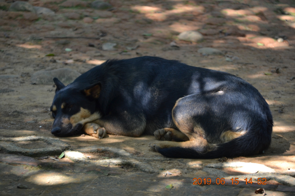 DSC_0115.JPG DSC_0115.JPG