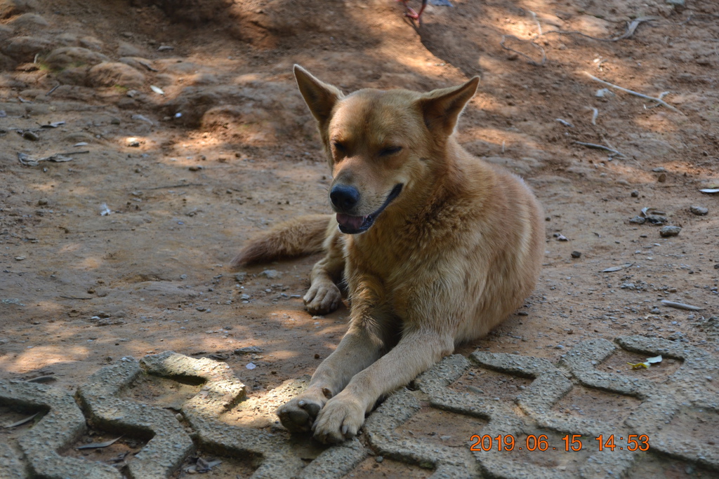 DSC_0117.JPG DSC_0117.JPG