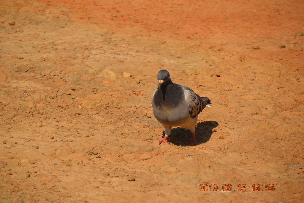 DSC_0119.JPG DSC_0119.JPG