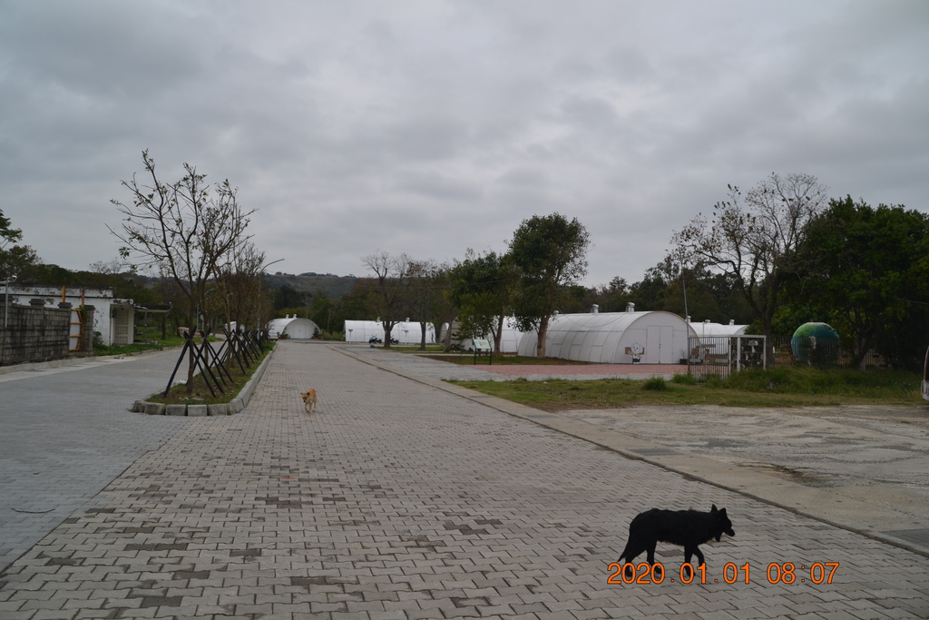 DSC_0034.JPG DSC_0034.JPG