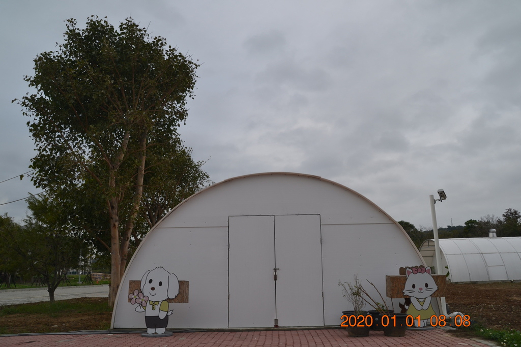 DSC_0035.JPG DSC_0035.JPG