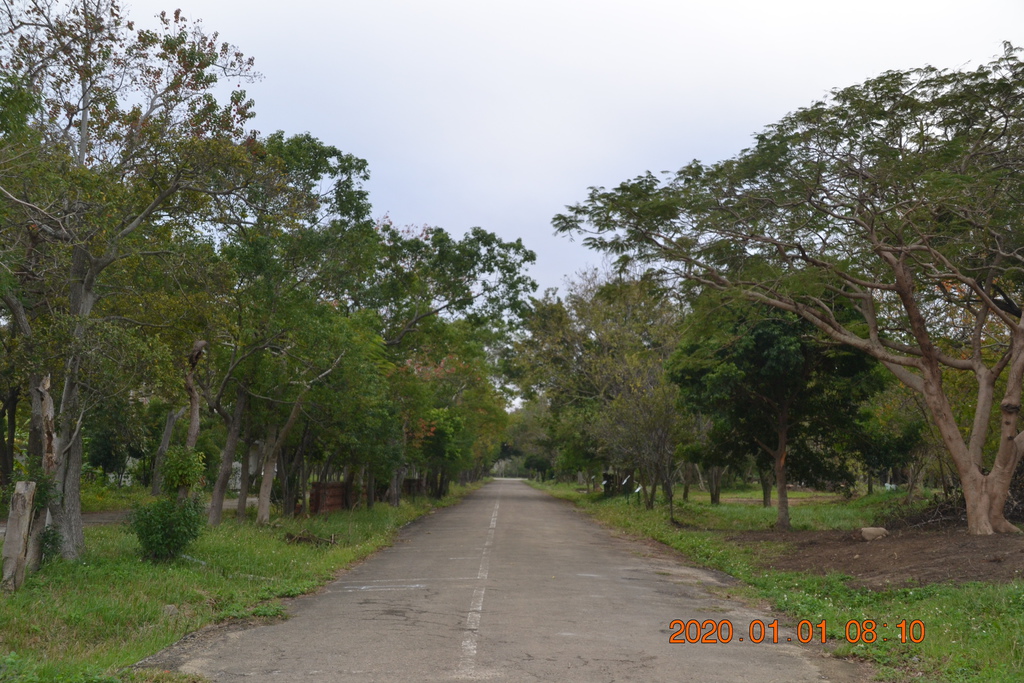 DSC_0038.JPG DSC_0038.JPG