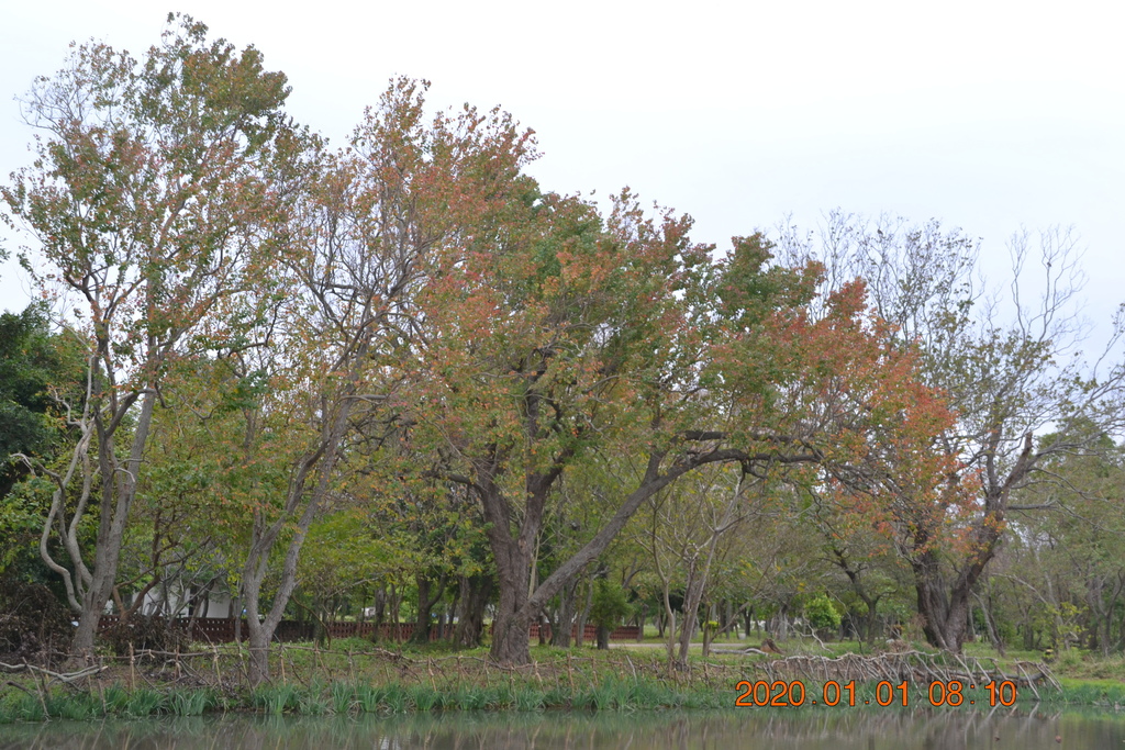 DSC_0039.JPG DSC_0039.JPG