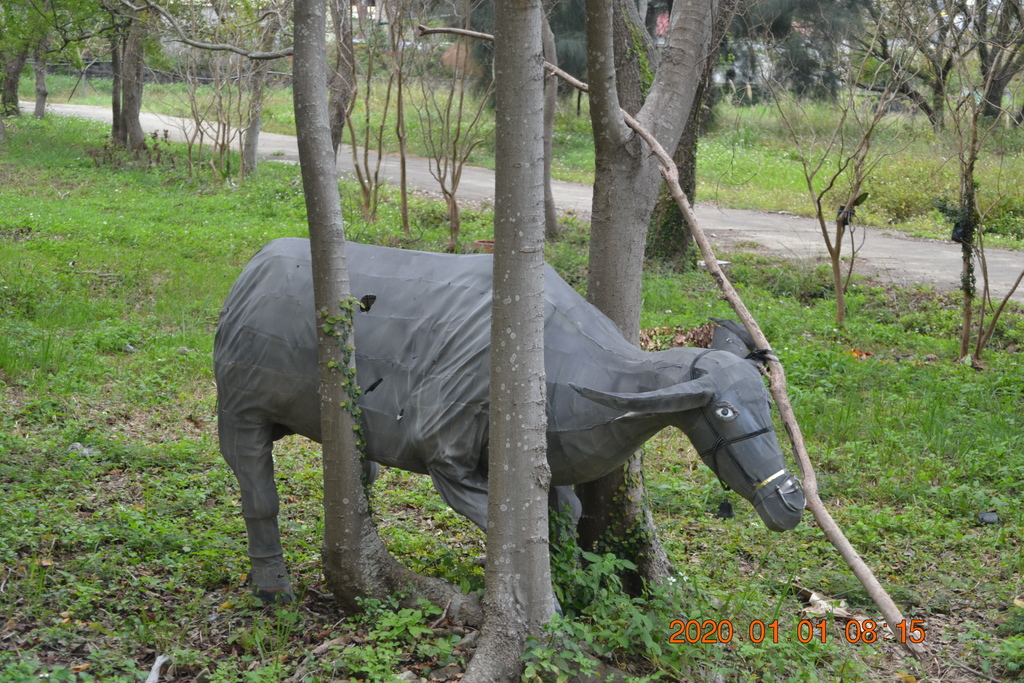 DSC_0044.JPG DSC_0044.JPG