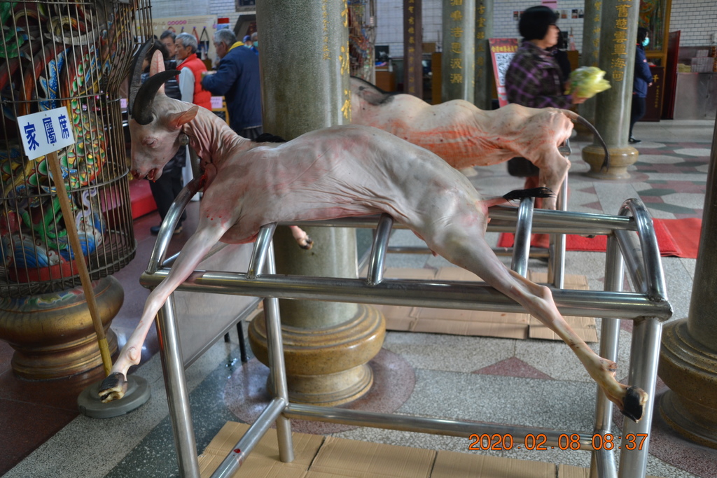 DSC_0030.JPG DSC_0030.JPG
