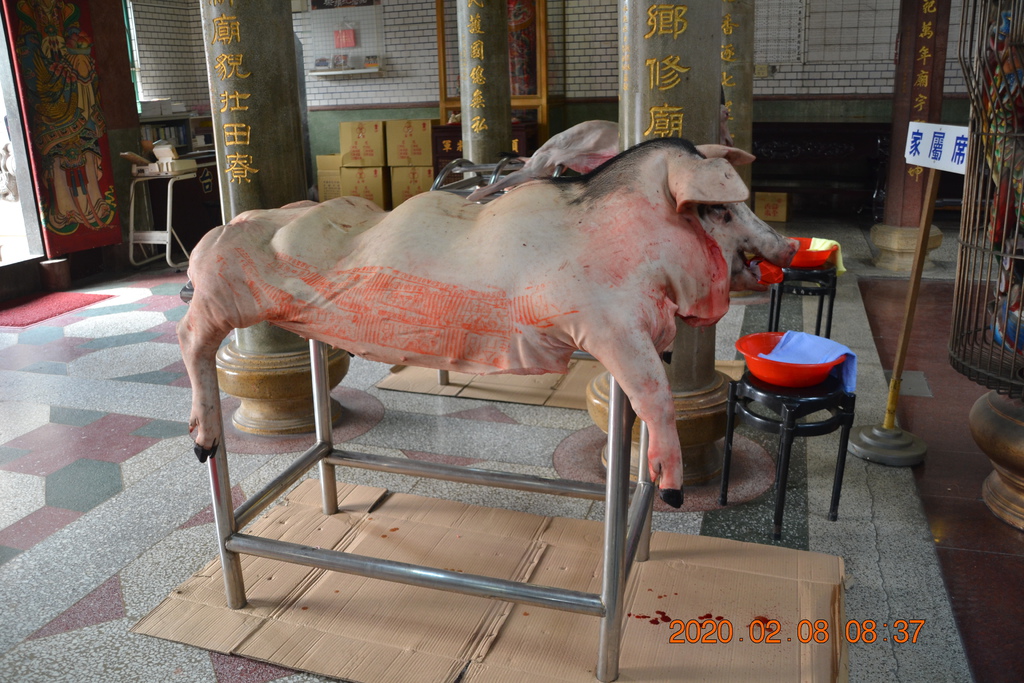 DSC_0029.JPG DSC_0029.JPG