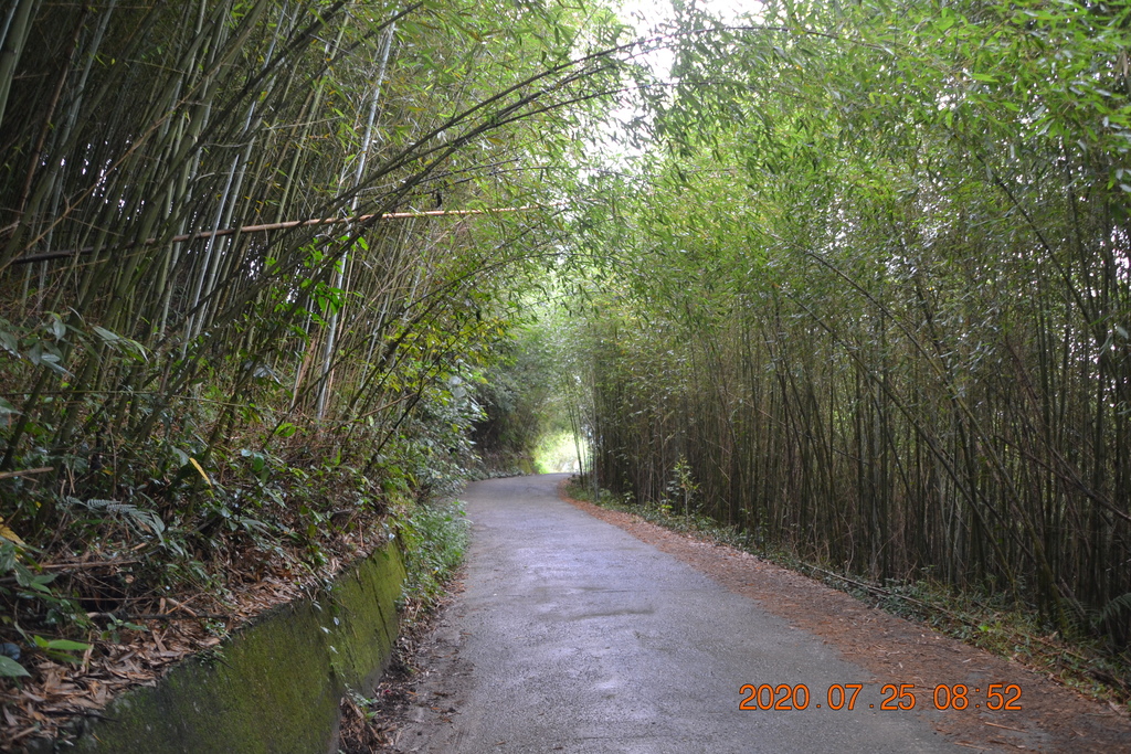 DSC_0065.JPG DSC_0065.JPG