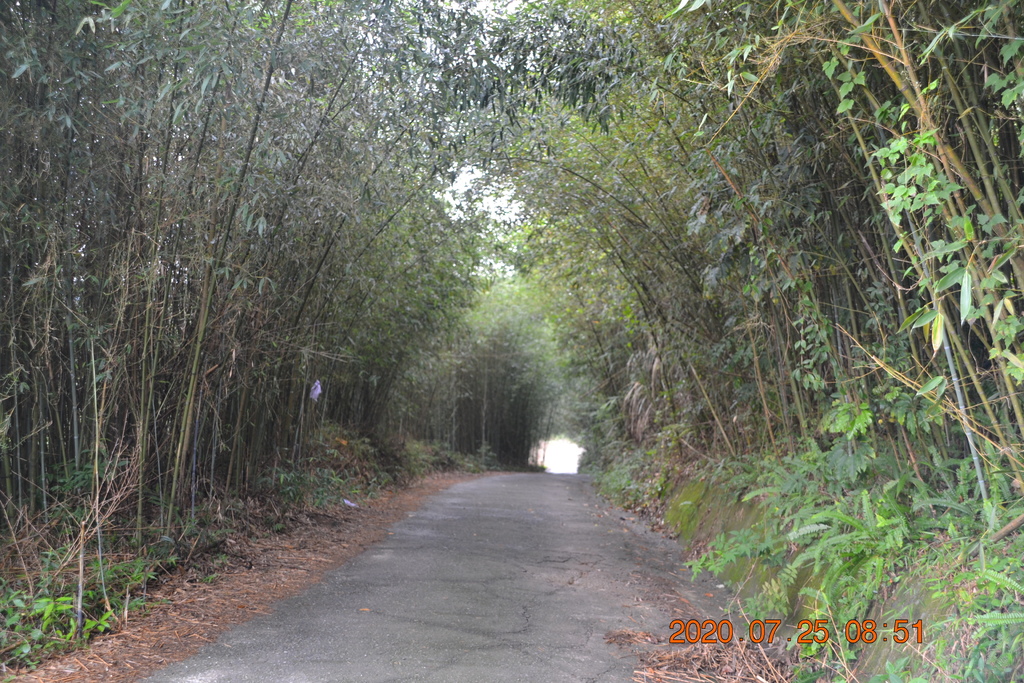 DSC_0064.JPG DSC_0064.JPG
