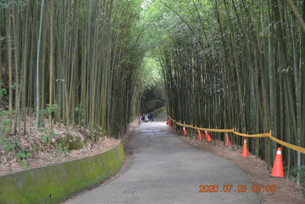 DSC_0076.JPG DSC_0076.JPG