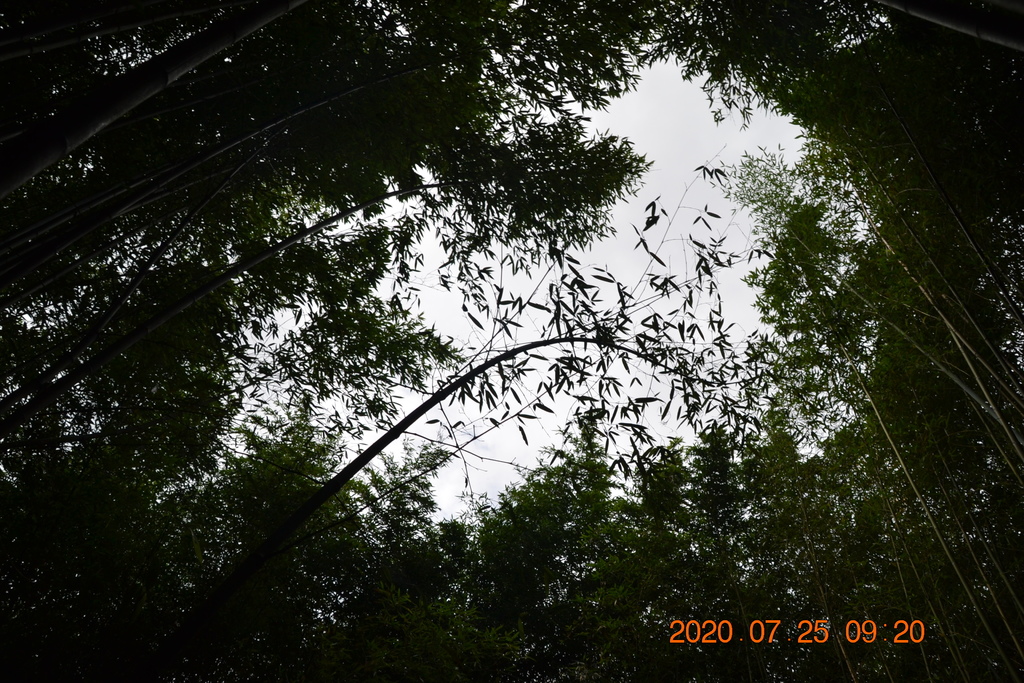 DSC_0102.JPG DSC_0102.JPG
