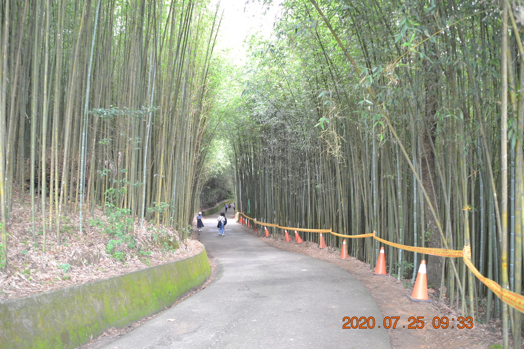 DSC_0110.JPG DSC_0110.JPG