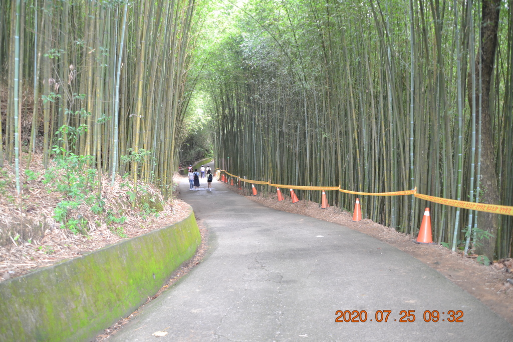 DSC_0109.JPG DSC_0109.JPG