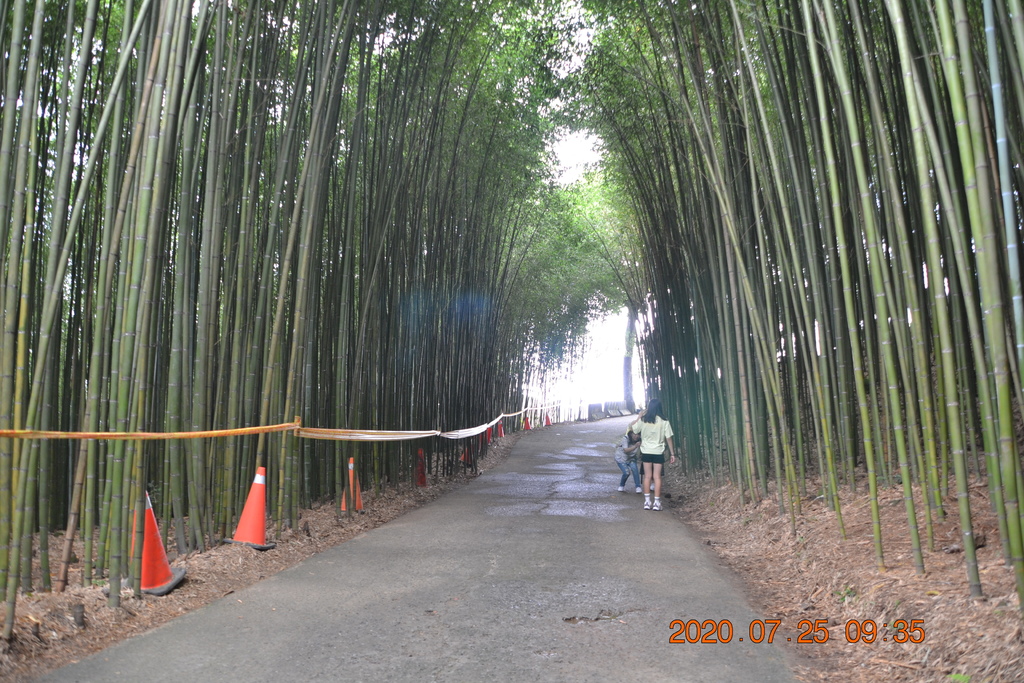 DSC_0112.JPG DSC_0112.JPG